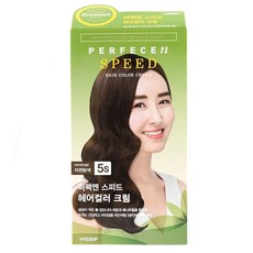 헤어스타일 히솝 헤어염색약 퍼펙엔 컬러 새치머리 5S 자연밤색(W61F123), 오버레이 1, 오버레이 고객님옵션결정해주세요
