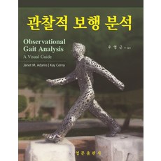페리의보행분석