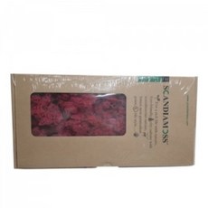 플라워디퓨저원데이클래스