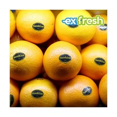f710e7b81ecbbacbabee444982d3d2db58918087cc6aaaa3a8632b9e1cb7.jpg