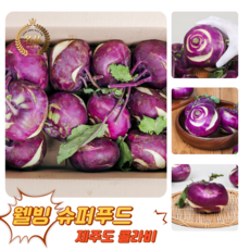 [굿피플] 햇콜라비 제주콜라비 야채콜라비 콜라비제주 콜라비(제주도특품), 5kg, 1개