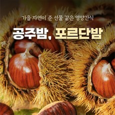 홀라당 벗겨지는 유기농 공주 알밤 포르단 햇밤 알밤 칼집밤[원산지:국산(충청남도 공주)], 1개, 공주 알밤(칼집X)1kg 특