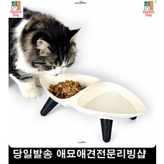 급여테이블