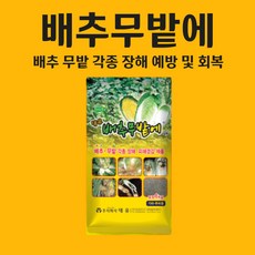 //상품명