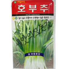 호부추