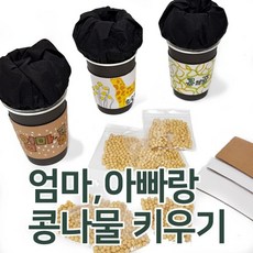 콩나물키우기키트관찰일지