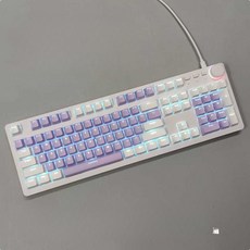타이핑고래 TOP01