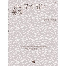 감나무가 있는 풍경:송미정 수필집, 코드미디어