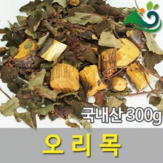 오리목(오리나무)(300g)-국내산, 300g, 1개