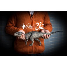 본심남개티라노