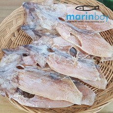 마린보이 국내산 못난이오징어(몸통만) 500g 파지오징어 파품오징어, 1개