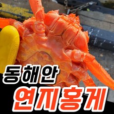 냉동홍게다리