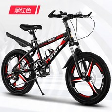 아메리칸이글자전거