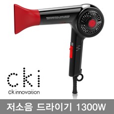 딕플d300