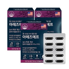 대우제약 아레즈에프 60캡슐 루테인 빌베리추출물 눈건강 종합영양제 눈영양제, 3개, 60정