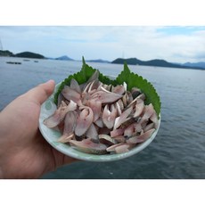 [피프팜]국내산 전어 (구이용/세꼬시/필렛), 1박스, 국내산 전어(세꼬시) 300g 6-9미 내외