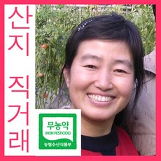 농부가 직접 파는 경주 친환경 토마토, 1개, 중 5KG