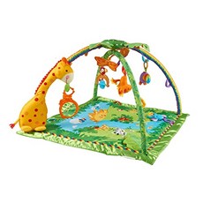 NMT Rainforest Melodies and Lights 디럭스 체육관 - P0620000FFL58Q5, 기본