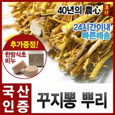자애인- 꾸지뽕뿌리2단 약400g 경북영천 국내산, 1개, 400g