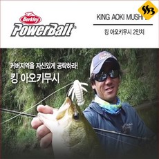 킹아오키무시