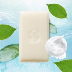 뉴스킨 바디바 (약산성 클렌저)