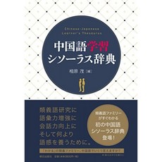 중국어 학습 유의어 사전, 단일옵션