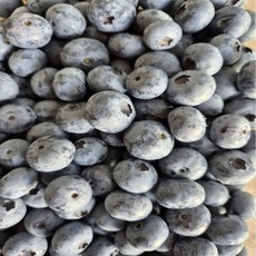 무농약 국산 냉동 블루베리 1kg 과일, 멋쟁이 블루베리 1kg, 1개