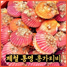 참가리비1kg