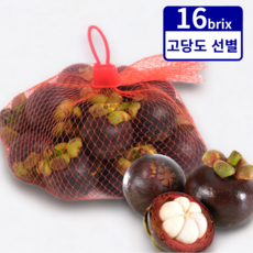 특가찬스 열대과일 생 망고스틴 mangosteen, 1개, 1kg