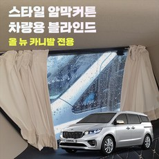 카니발보조석모니터