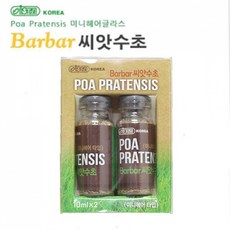 미니헤어글라스