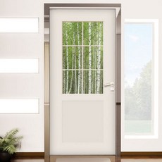 ch819-창문그림(싱그러운자작나무숲)