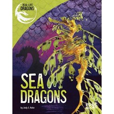 Sea Dragons Hardcover, Capstone Press