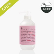 빅그린 임산부 헤어 트리트먼트 500ml, 1개