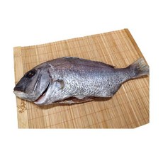 반건조 참돔 도미(중) 1마리 자연산도미 도미매운탕 생선찜, 참돔(중)1마리, 1개