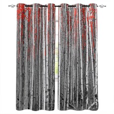 ch819-창문그림(싱그러운자작나무숲)