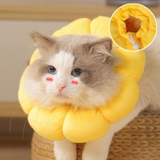 라띠그레 강아지 고양이 넥카라 중성화 긁음방지 목쿠션 깔때기, 1개