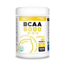 올라 BCAA 파우더 6000 레몬 500g, 1개