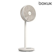 [보국전자] 써큘레이터 제로팬 BKF-21W30DC, 카밍그린