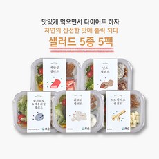 [에타홈] 홀리셔스 밸런스 한 끼 샐러드 5종5팩, 옵션선택, 단품