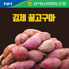 농협 2023 김제 햇 꿀고구마(10kg*1박스), 1