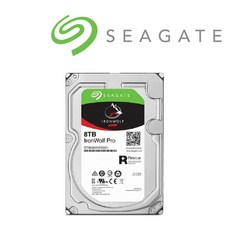 씨게이트 아이언울프 프로 ST8000NE001 8TB 하드 HDD, 단일상품, 단일상품