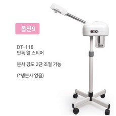 피부스티머