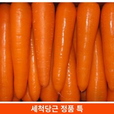 중국산세척당근