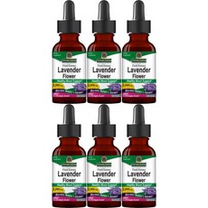 네이처스앤서 고흡수 라벤더 꽃 추출물 2000mg 액상 액체, 30ml, 6개