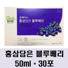 정관장 홍삼담은 블루베리 50ml 30포 + 쇼핑백