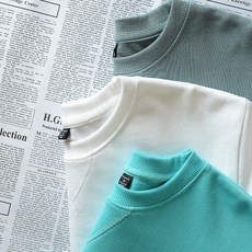 팔멕스텔라후드
