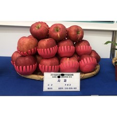 사과 거창사과 GAP인증 해발 약600m 고랭지사과 청년농부 산지직송, 1박스, 정품 5kg 23~25(과)