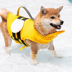 꿀벌강아지구명조끼