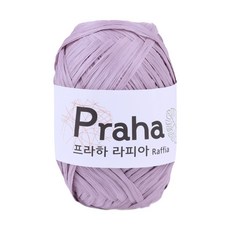 프라하실